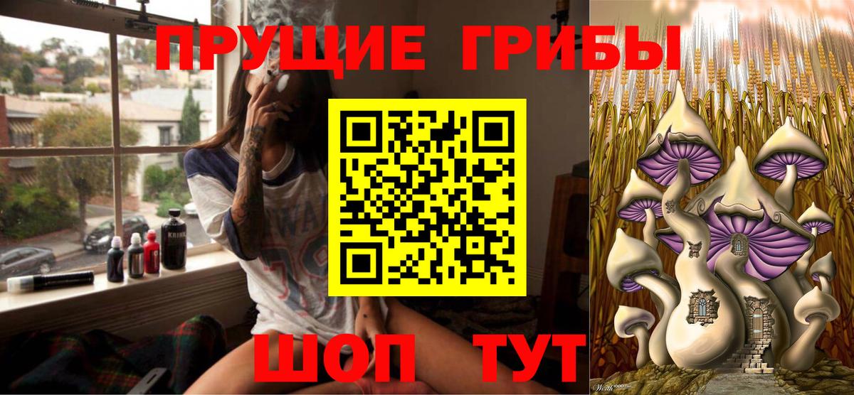 Губкинский  Псилоцибиновые грибы GOLDEN TEACHER  Вход с VPN 