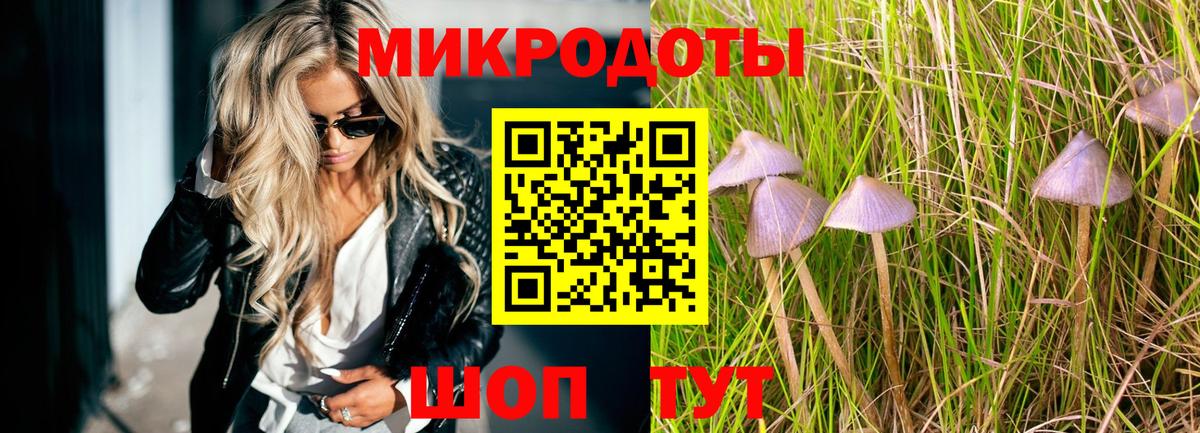 Псилоцибиновые грибы GOLDEN TEACHER Губкинский